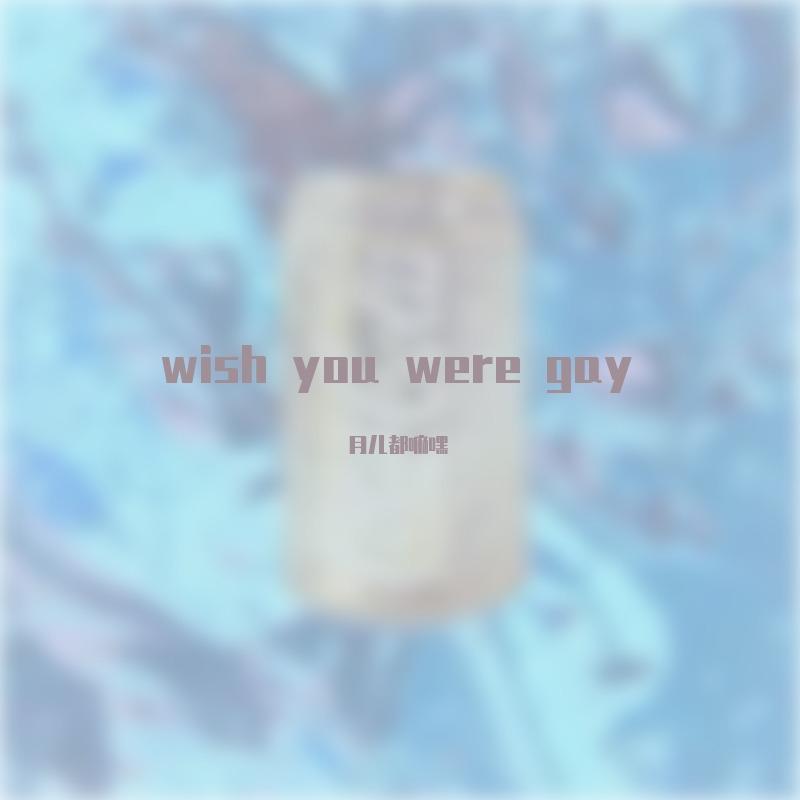 Wish you were gay
