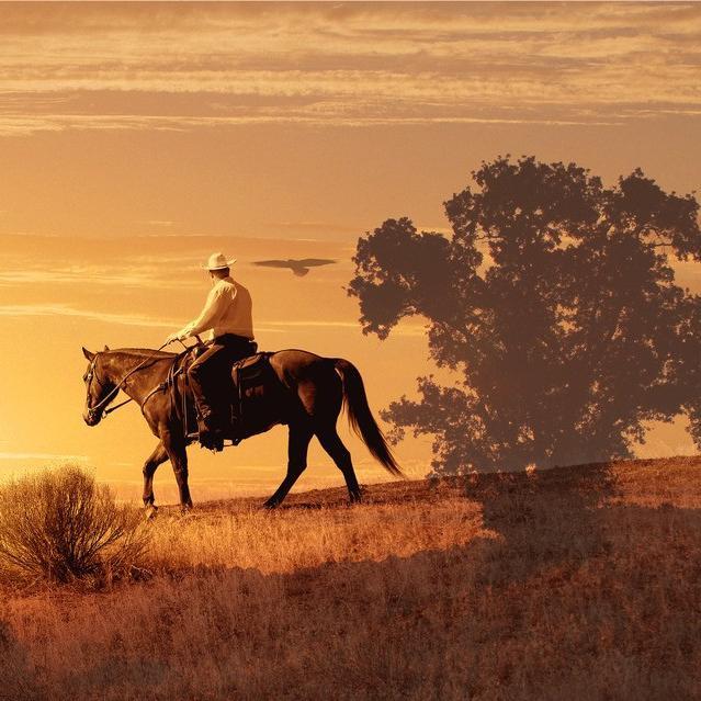 old town road