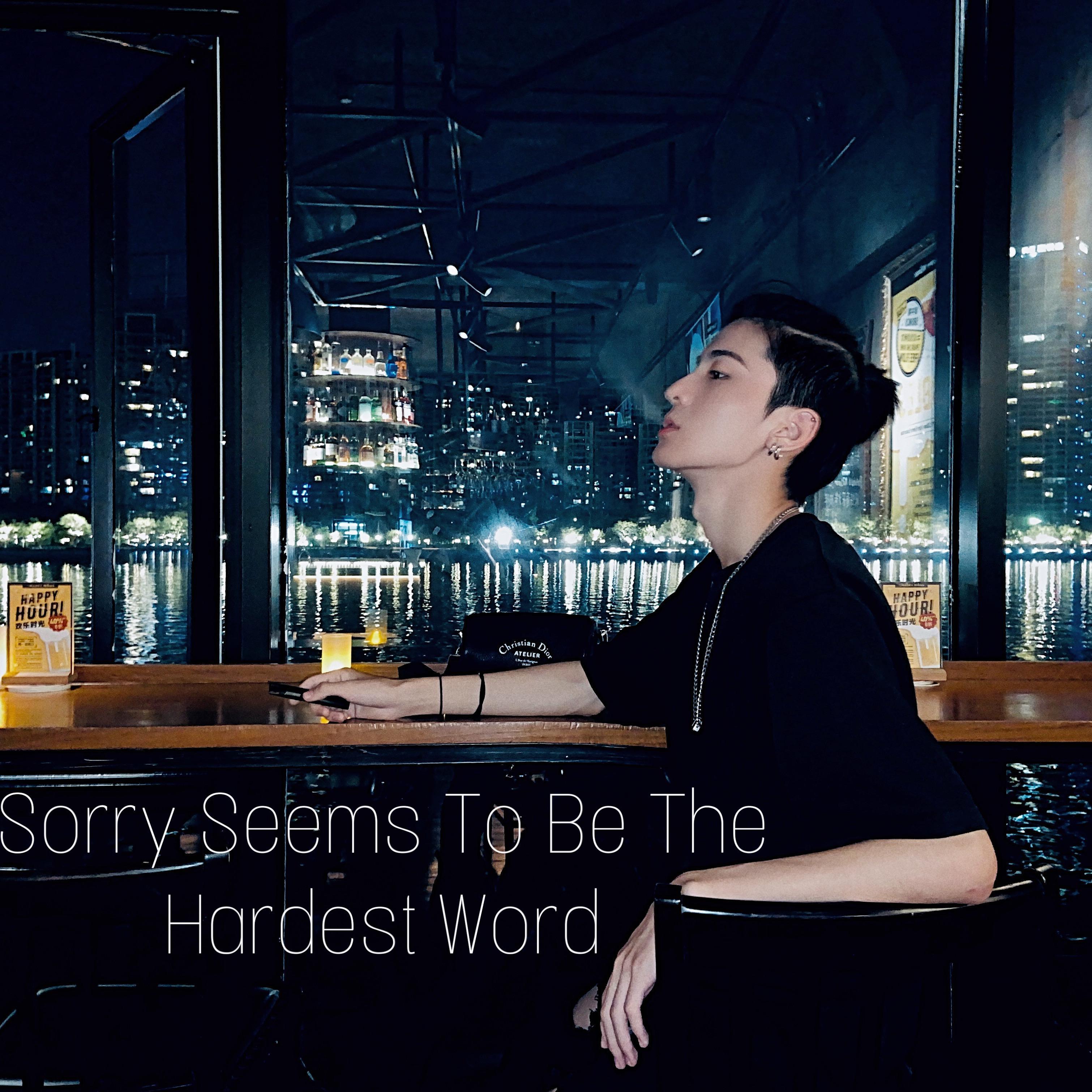 Sorry Seems To Be The Hardest Word