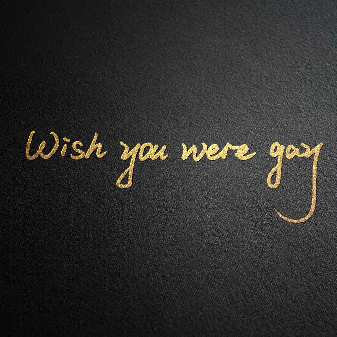 wish you were gay