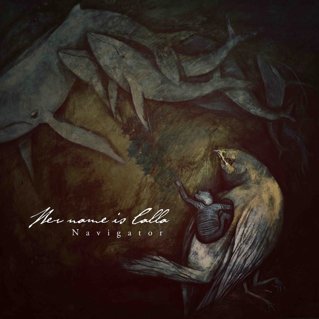 I Was On The Back Of A Nightingale