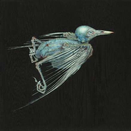 I Have Walked This Body