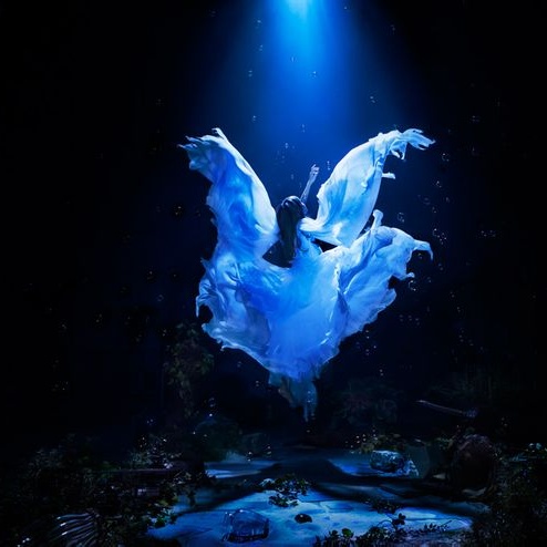 誰か、海を。(instrumental)