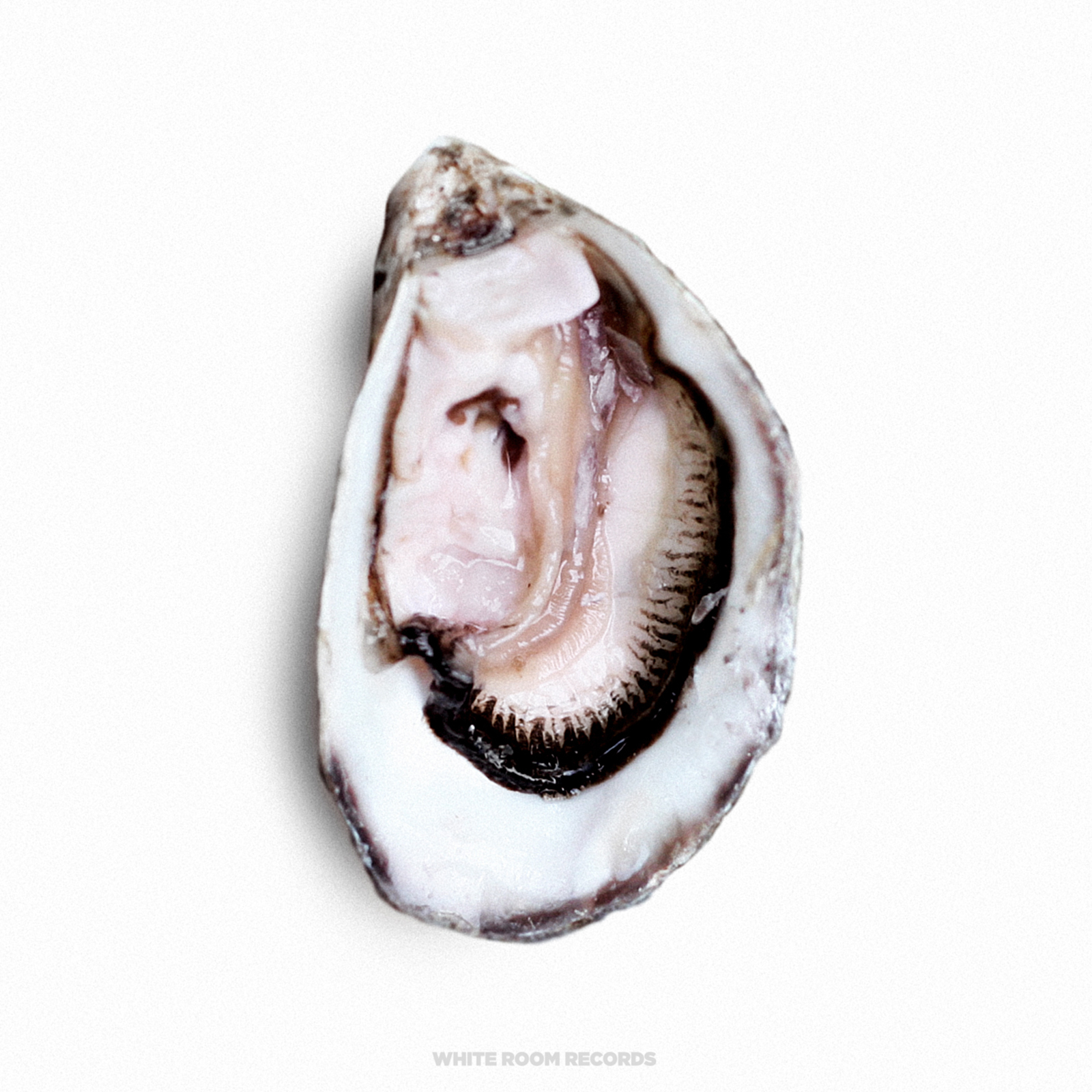 Say What's On Your Mind