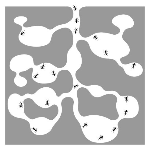 君のOOをXXしたい