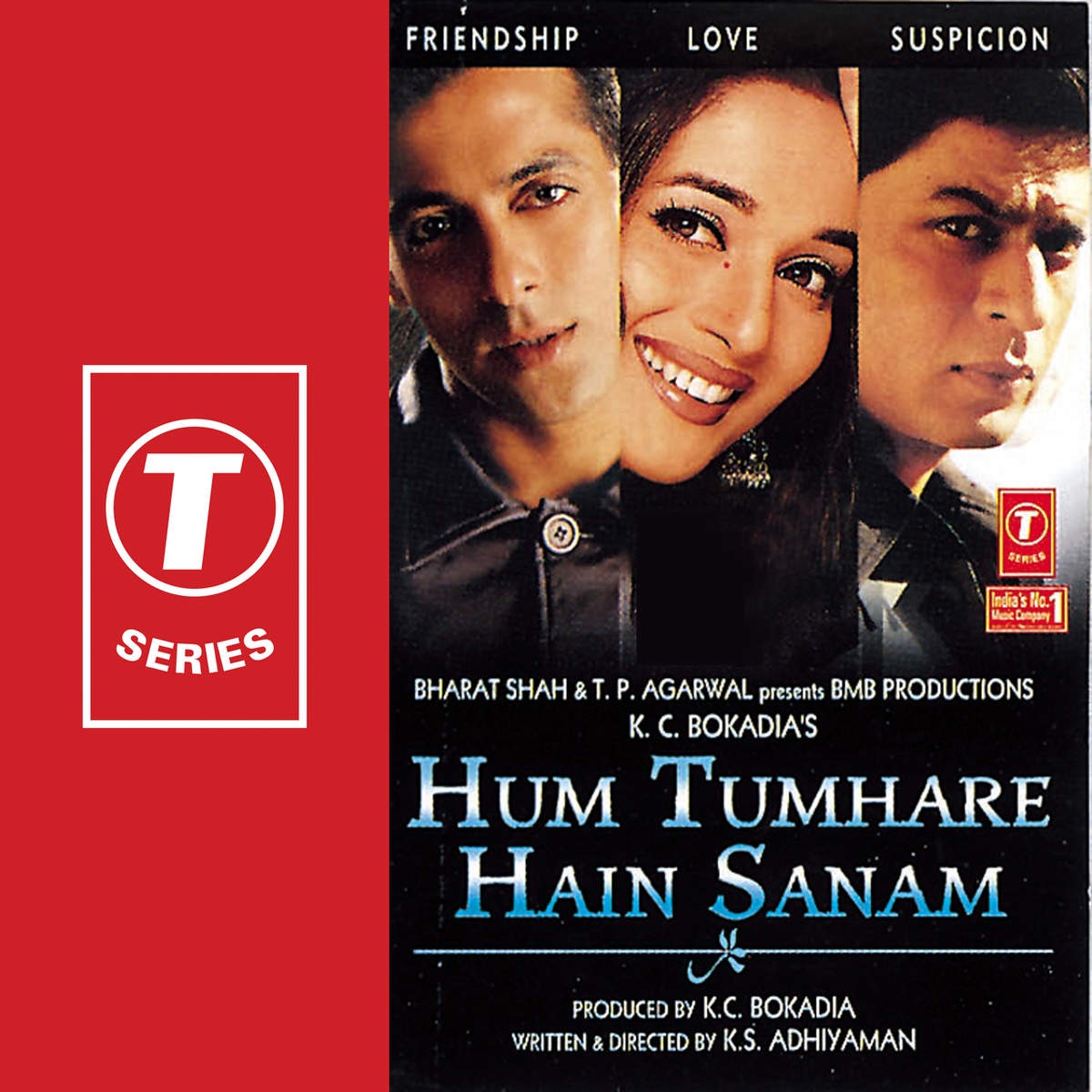 Hum Tumhare Hain Sanam