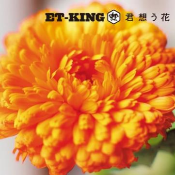 君想う花 (Instrumental)