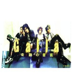 奇跡の薔薇(キセキノハナ)