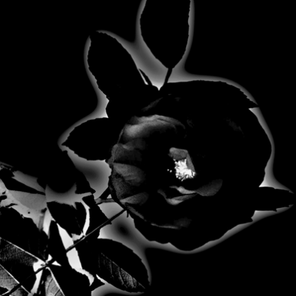 ノクターン - RAIN SONG -