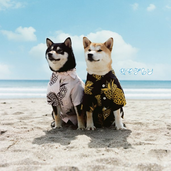 约束の丘 -Acoustic Live Ver.- - unplug