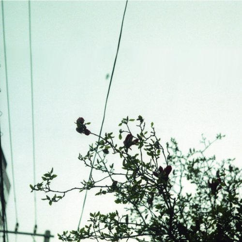 グレーマンのせいにする