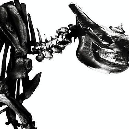 Everything (It's you)