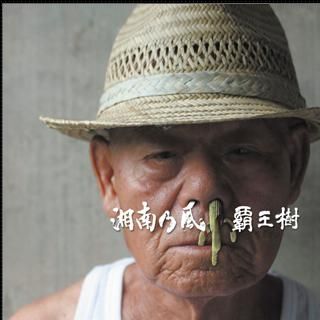 覇王树(サボテン)