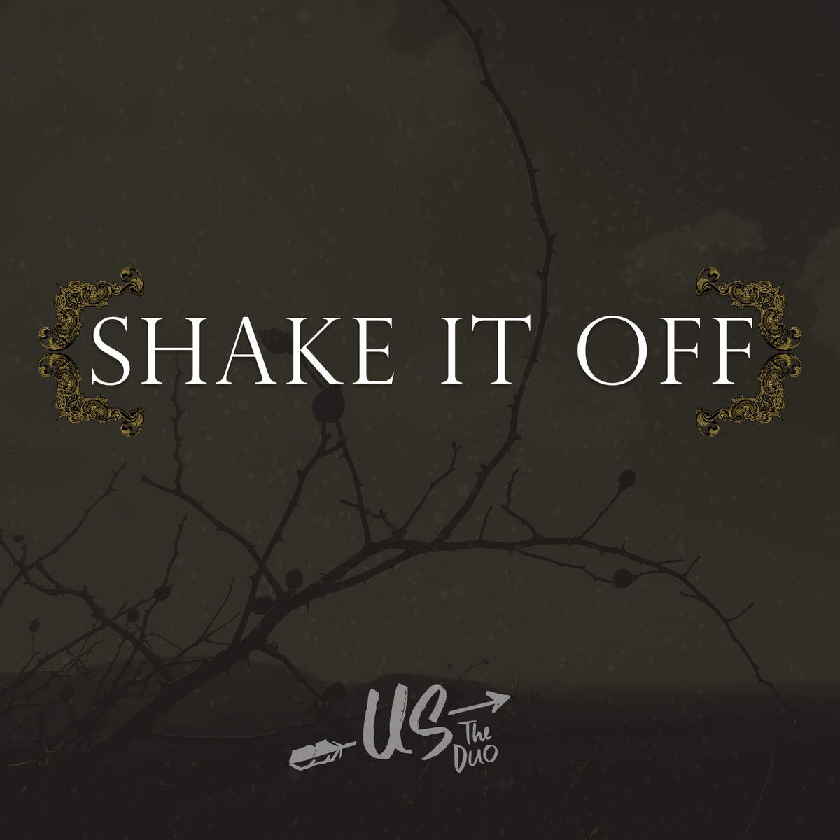 Shake It Off