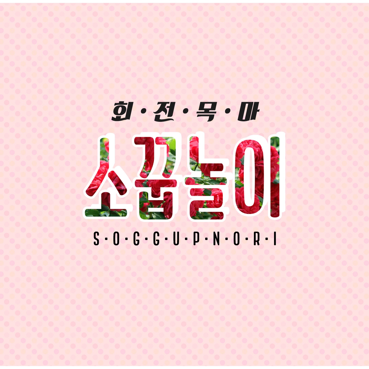 꿀꿀이의 하루