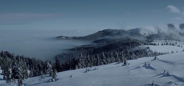 How Do I Know (Arston Remix)