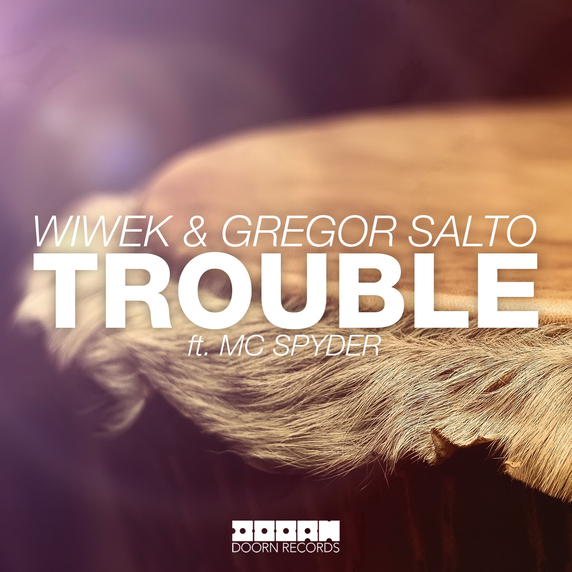 Trouble (Original Mix)