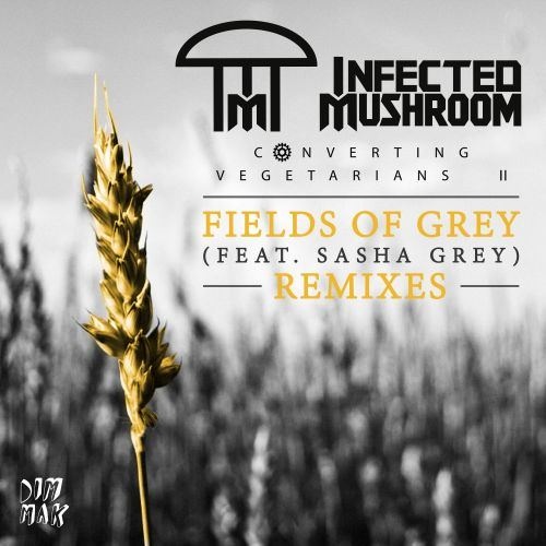 Fields of Grey