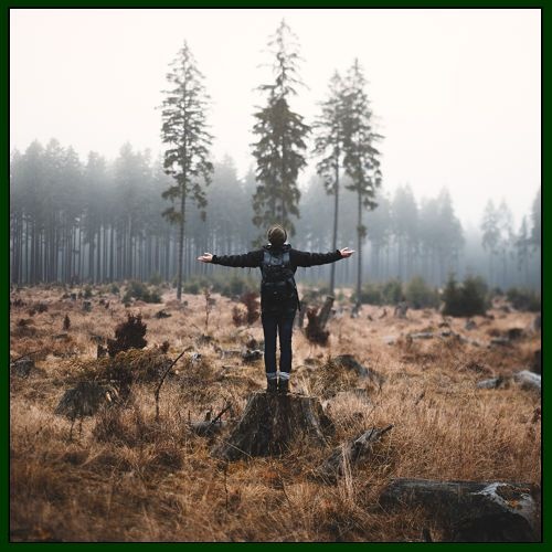 Old Pine (Elkoe Remix)