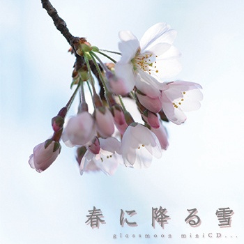 淡桜