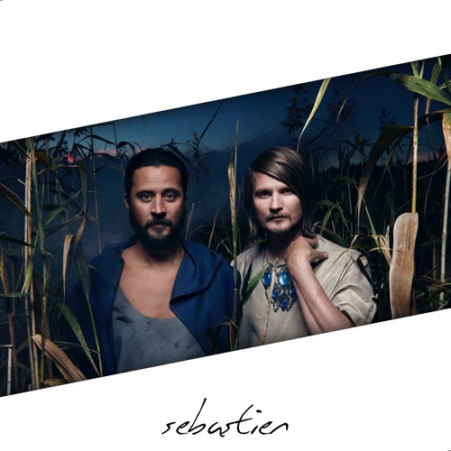 I Had This Thing (Sebastien Remix) 