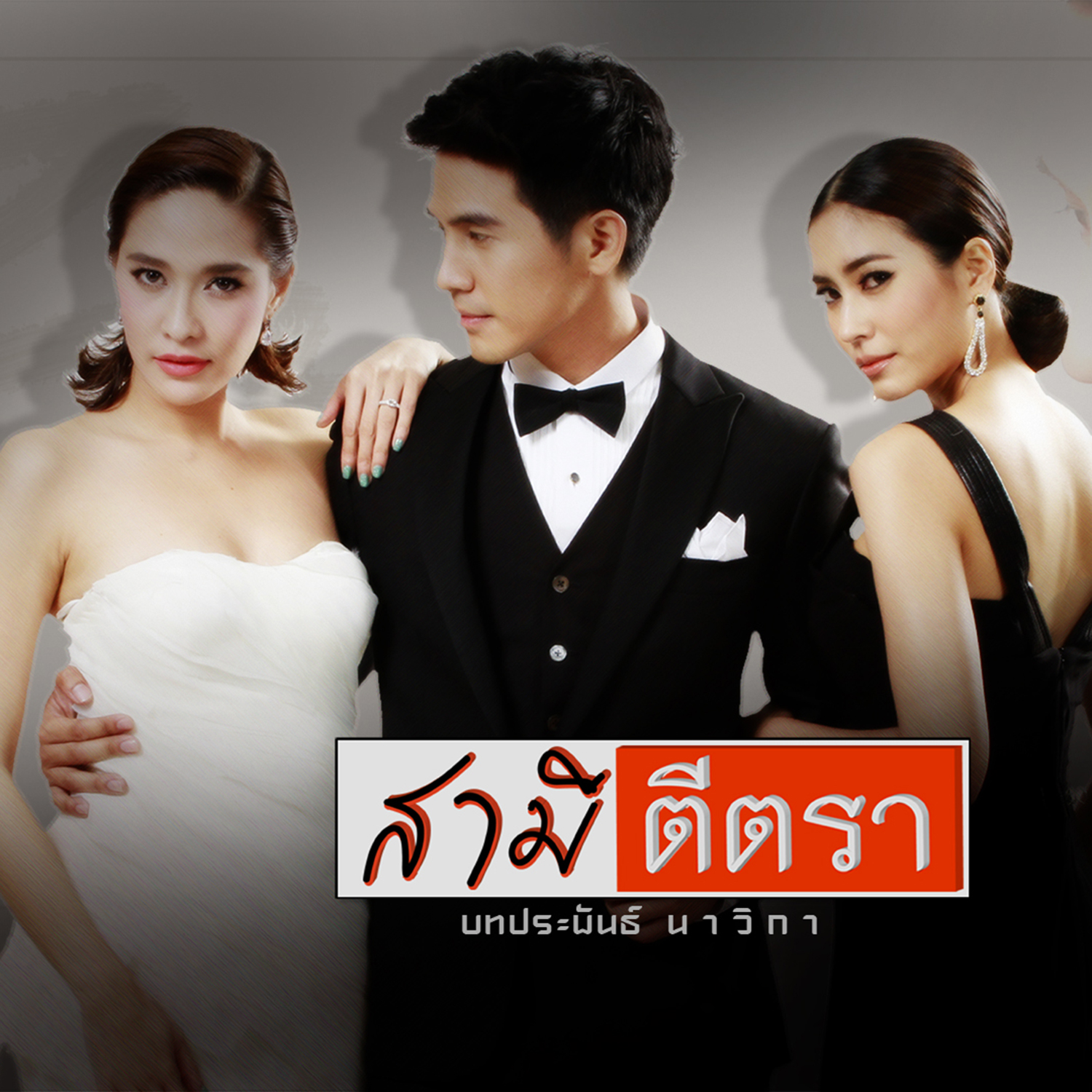 ไม่เจ็บอย่างฉันใครจะเข้าใจ (เพลงประกอบละคร สามีตีตรา)