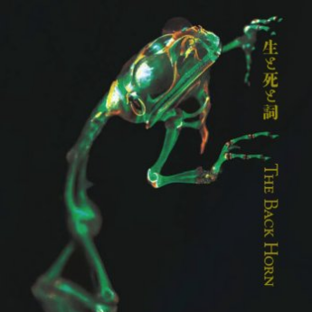 コオロギのバイオリン