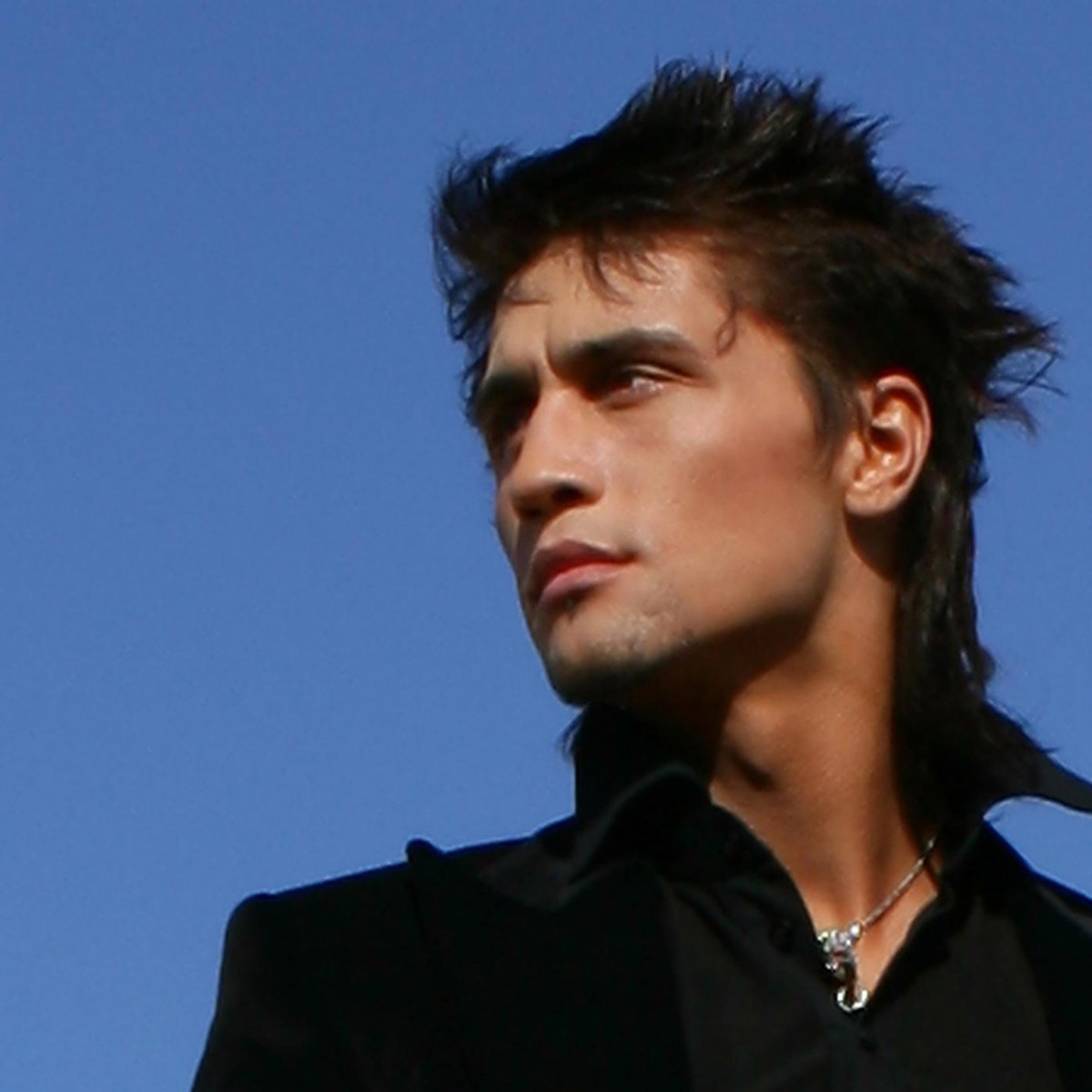 Одинокая бродит гармонь