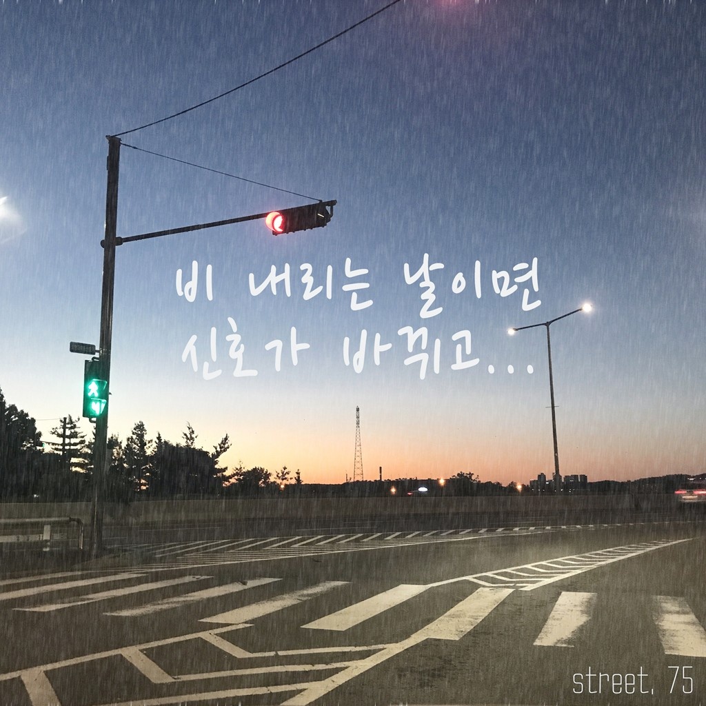 신호가 바뀌고