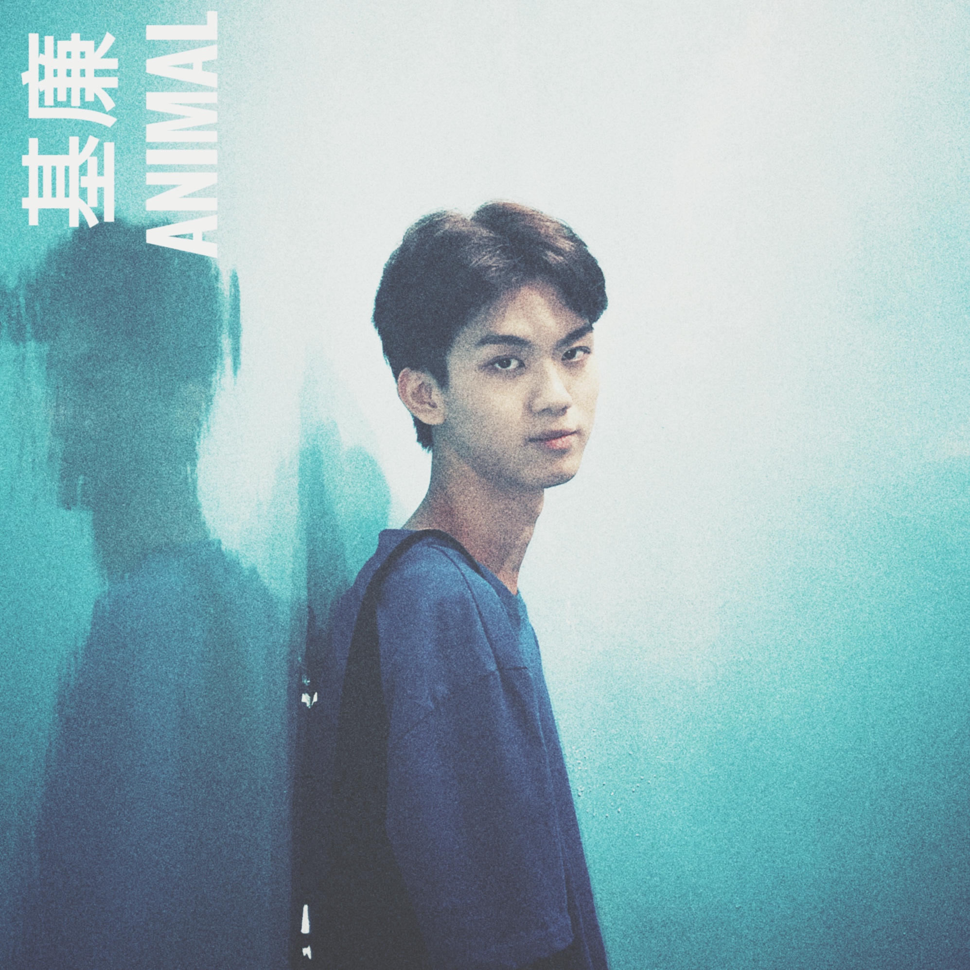 Animal（Cover：Troye Sivan）