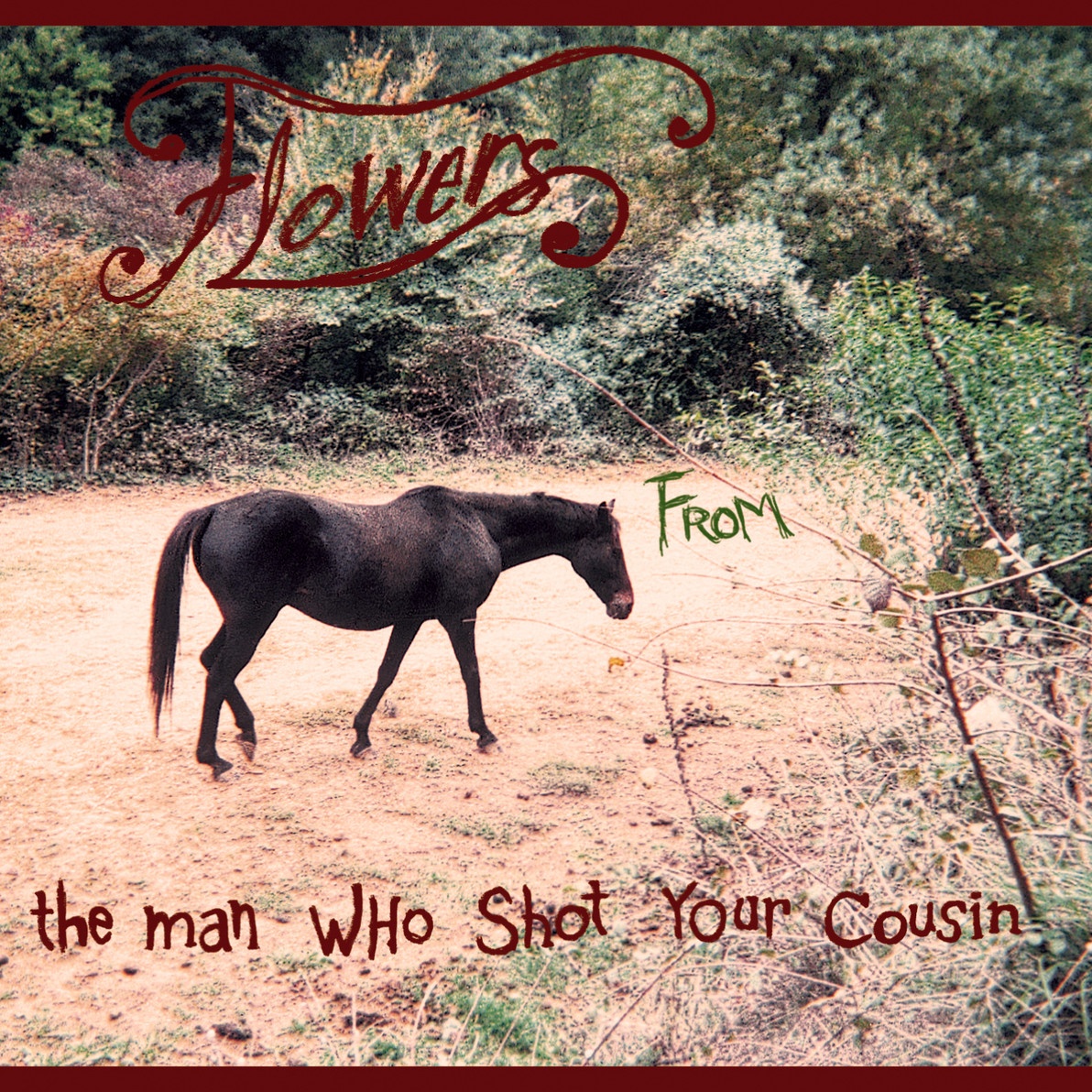 I do not love you anymore