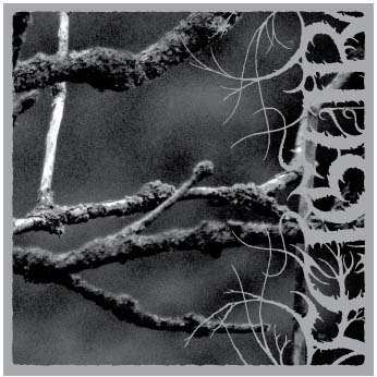 II - Night Pulls all Perception