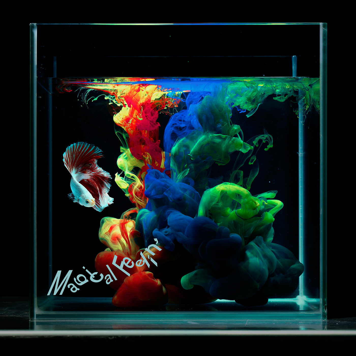 Music For Life