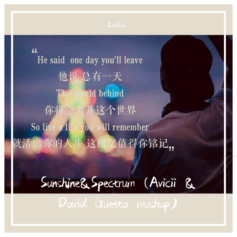 Sunshine & Spectrum（Avicii&David Guetta）Bootleg