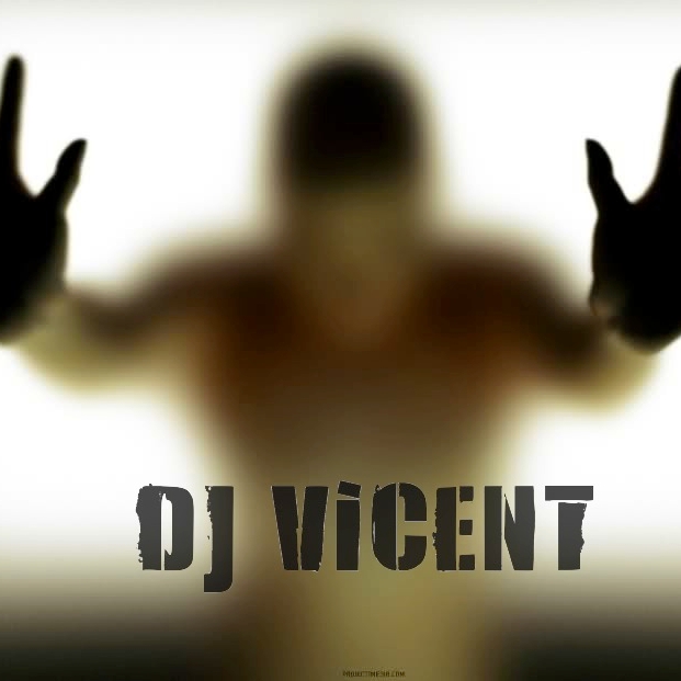Avicii - Levels  (DJ Vicent Remix)