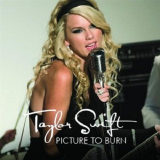 Picture to Burn (Album Version)