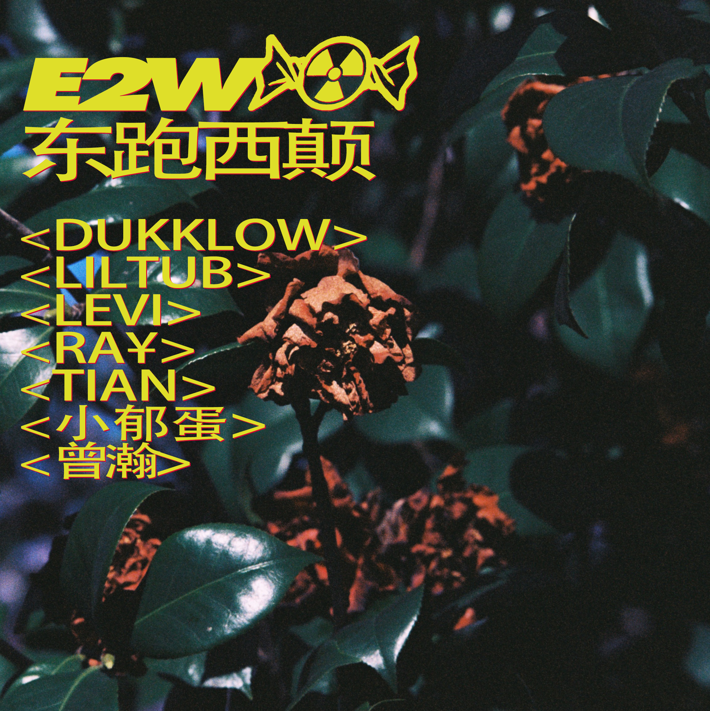 东跑西颠